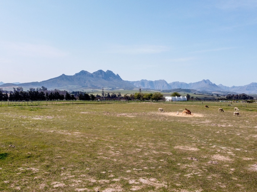 To Let 3 Bedroom Property for Rent in Stellenbosch Farms Western Cape